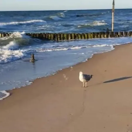 Kolo Brzegu Spa, Jacuzzi Lwowska Апартаменти *